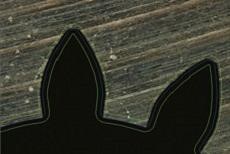 nikon metrology vision systems digital chart comparator iNEXIV VMA 4540